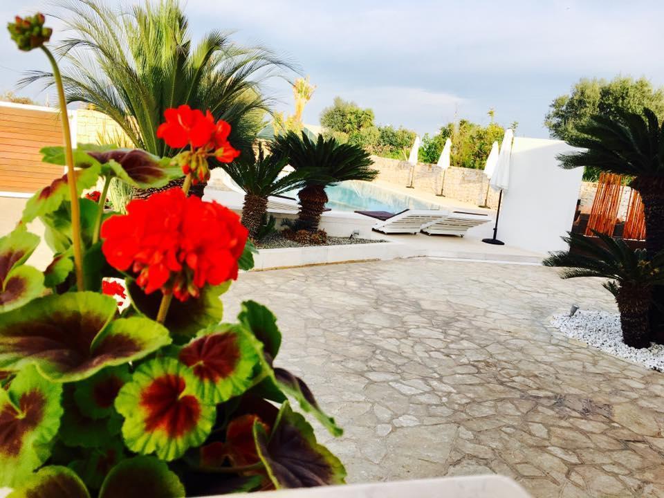 Carone Suite-Charme&Pool Polignano a Mare Eksteriør billede